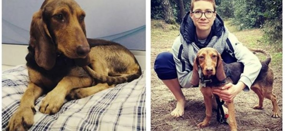 Sono passati due anni (tra ricerche con fototrappole, cani molecolari